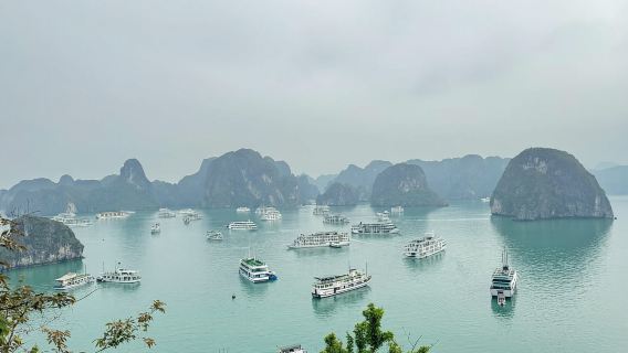 Ab Hanoi: Tagestour zur Halong-Bucht mit Thien-Cung-Höhle und Kajakfahren