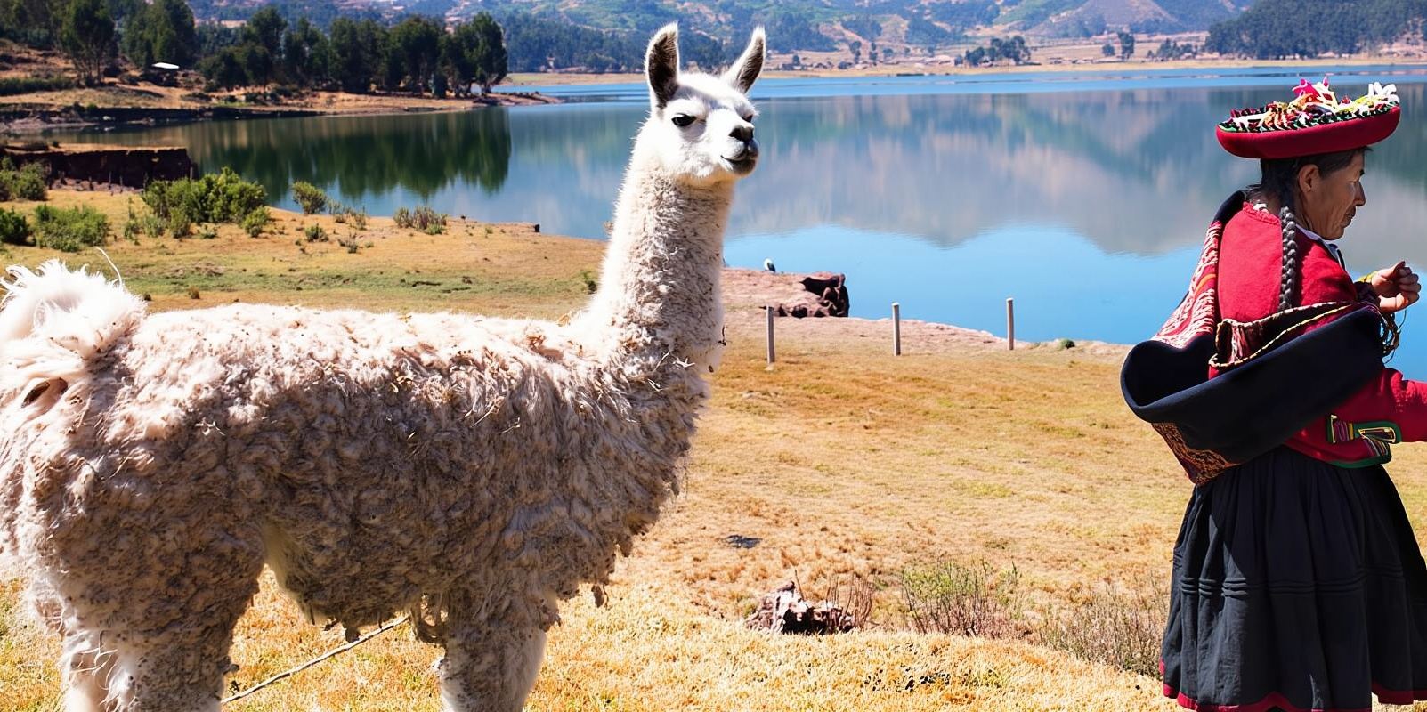 Desde Cusco: Excursión privada a Chinchero con paseo de alpacas
