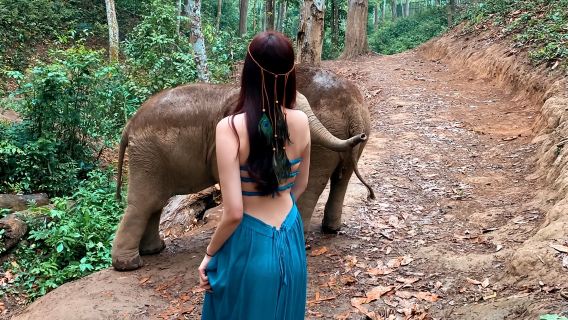 野象谷+原始森林公園一日遊可選6人小團純玩不進店邂逅野象