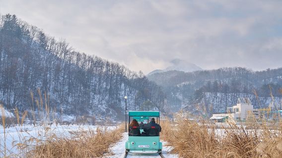 Tour di un giorno invernale nei dintorni [Valle di Eobi + Nami Island + Raccolta di fragole + Bicicletta sui binari]
