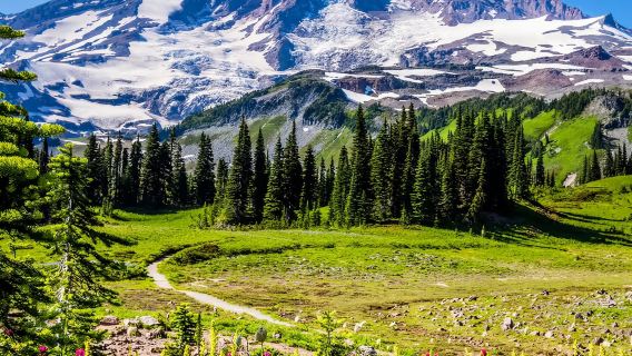 美國西雅圖雷尼爾山國家公園一日遊【中文司機】