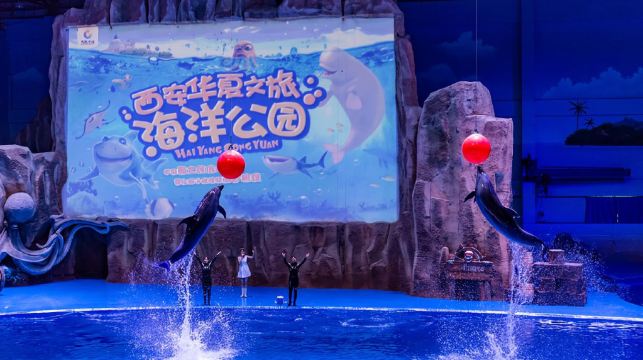 西安華夏文旅海洋公園+駝鈴傳奇+古城烽火一日遊丨接送+門票