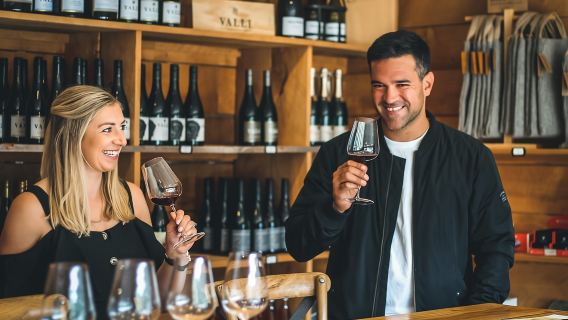 Queenstown: Classic Wine Tour