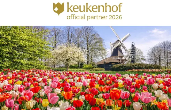 阿姆斯特丹:庫肯霍夫門票及接駁車連彈性來回