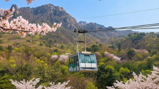 Tagesausflug von Seoul zum Berg Seorak, zur Insel Nami und zum Garten der Morgenstille