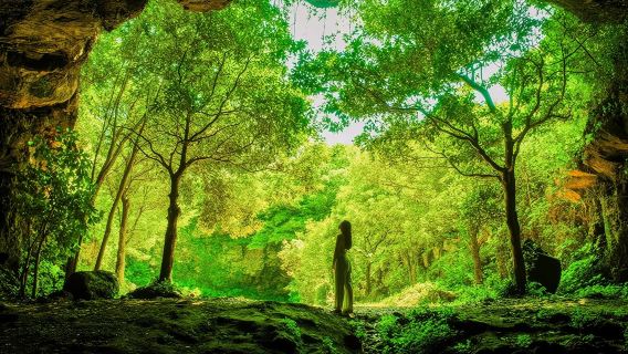 Jeju Island SouthEast Unesco Mt.Halla One day Bus Tour