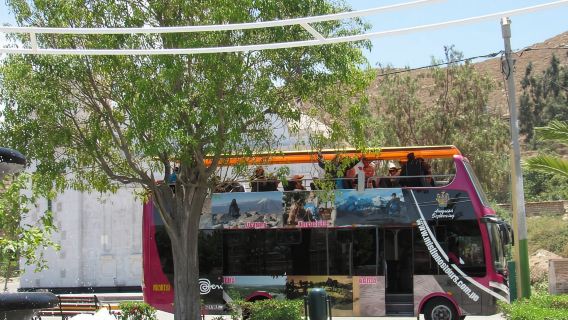 Arequipa: City and Surroundings Bus Tour