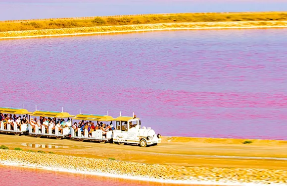 法國馬賽卡馬爾格地區自然公園+粉色鹽湖+一日遊