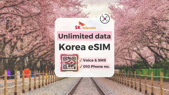 【韓国eSIM】韓国SKTローカル データ使い放題・通話可能 eSIM + 無料T-Money