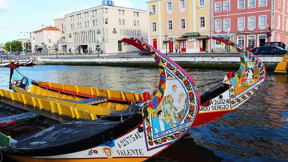 Porto: tour di un giorno ad Aveiro e Coimbra con gita in barca al Moliceiro