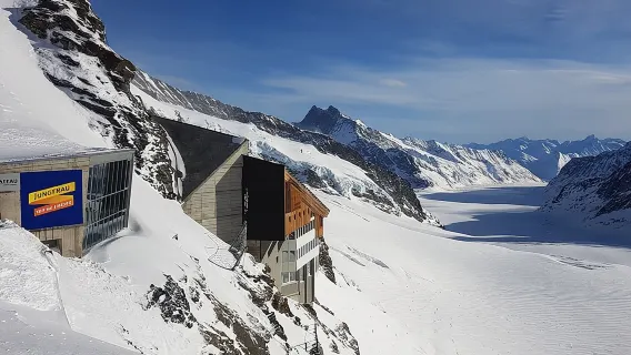 Privater Tagesausflug zum Jungfraujoch, dem Top of Europe, ab Basel