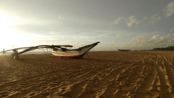 Tour di un giorno a Negombo