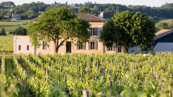 Chuyến đi nửa ngày đến Saint Emilion kèm thử rượu vang và tham quan nhà máy rượu vang từ Bordeaux