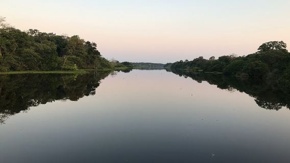 Flusstagestour ab Manaus