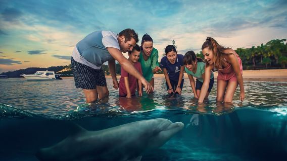 オーストラリア、ブリスベン発モートン島ワンデーツアー【イルカの餌付け見学】|ホテル送迎サービスもご利用いただけます