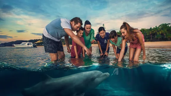 tour di un giorno a Moreton Island da Brisbane, Australia [Guarda l'alimentazione dei delfini]|Prelievo dall'hotel disponibile per l'acquisto