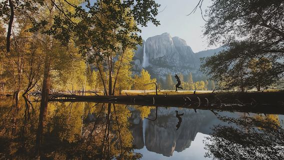 Yosemite overnight tour at Curry Village Tent Cabin