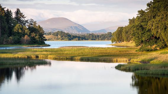 Speyside Whisky Trail small-group day tour from Aberdeen
