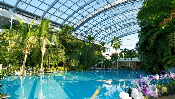 Biglietto d'ingresso a Therme e servizio di trasferimento con prelievo/riconsegna a Bucarest