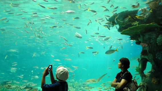 Manila, Philippines + Manila Ocean Park Round-trip Transfers/Adjustable Itinerary