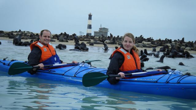 Полудневная экскурсия на байдарках в Пеликан-Пойнт