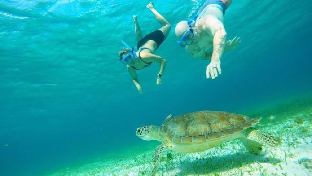 Excursion de plongée en apnée à Cozumel : étoiles de mer, raies et sanctuaire des tortues