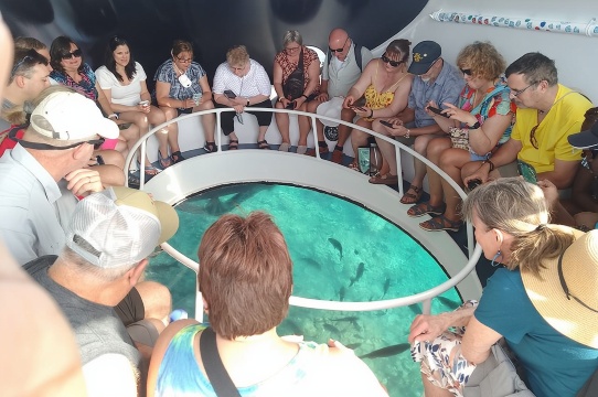 Oculus 玻璃底船之旅