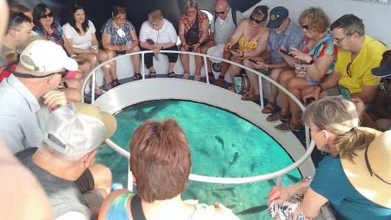 Passeio de barco com fundo de vidro Oculus
