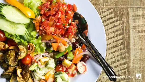 大象自然保護公園半日午後參觀行程