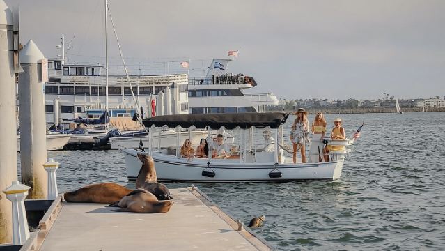 Private E-Boat Cruise: Wine, Charcuterie and Sea Lion Spotting