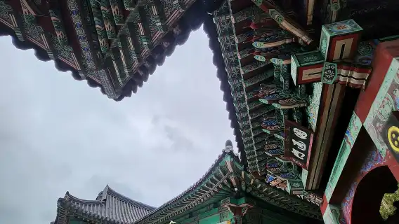 釜山：慶州共享日落之旅，最多 15 位客人