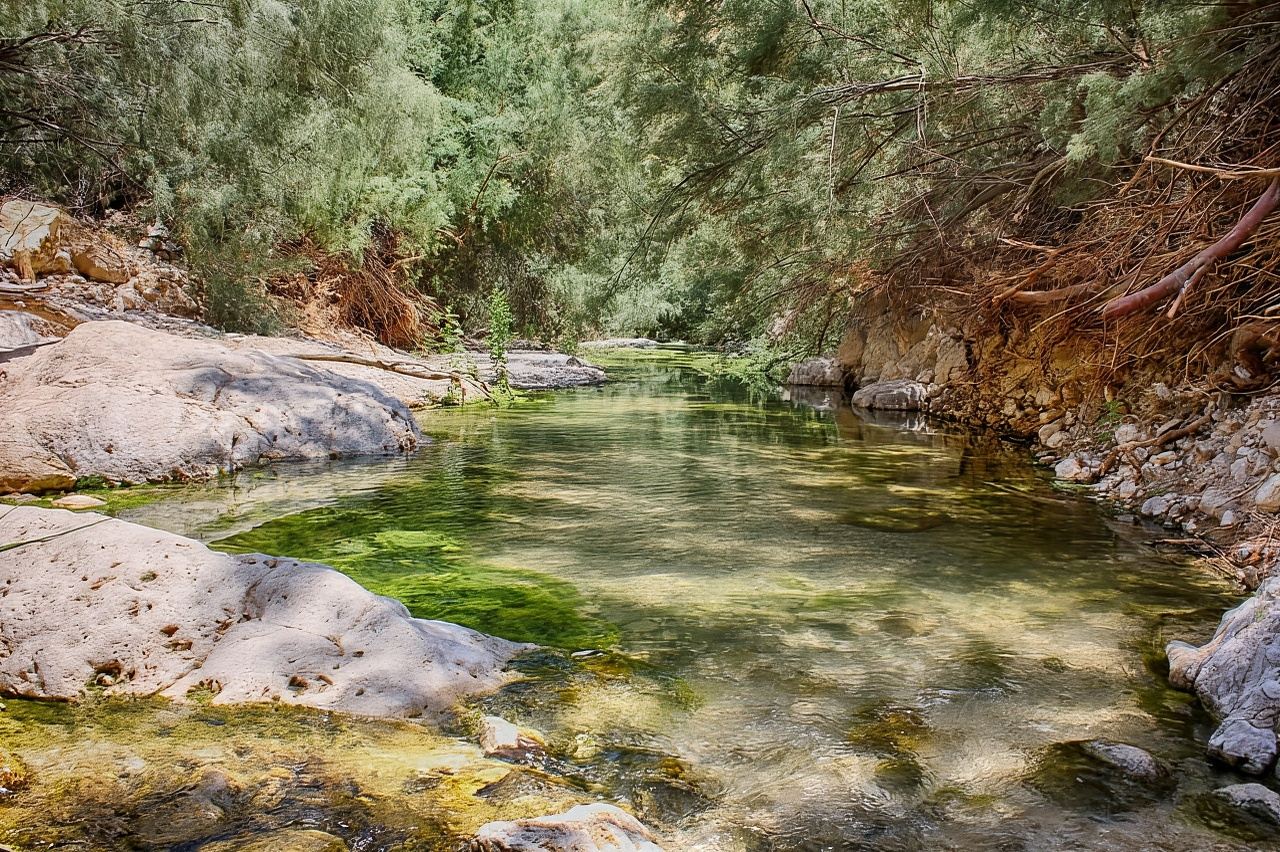 From Tel Aviv: Masada, Ein Gedi, and Dead Sea Guided Tour