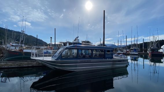 Hoonah: Crucero de avistamiento de ballenas