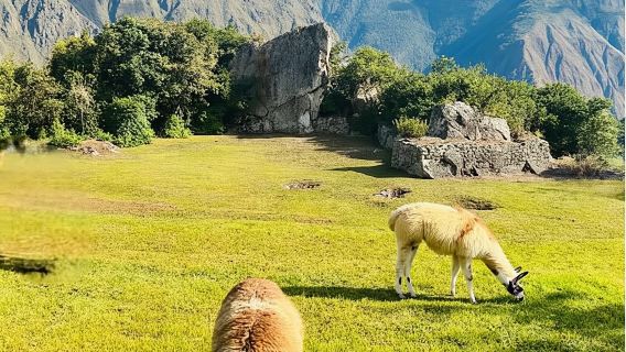 マチュピチュ：アグアスカリエンテス発 入場チケットとバス送迎