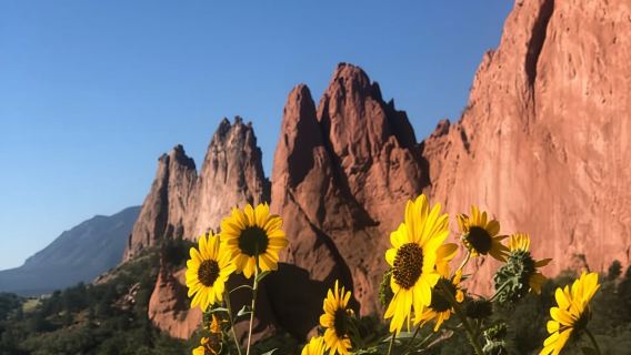 Colorado Springs: tour del Giardino degli Dei e della città storica