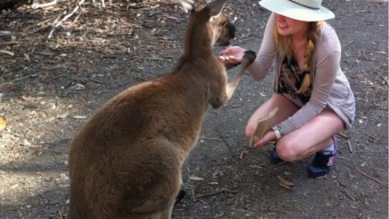 Adelaide: Barossa Day Out: Wines, Brewery, Chocolate & Lunch