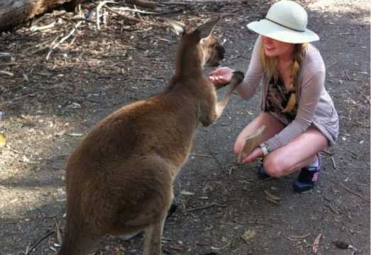 Adelaide: Barossa Day Out: Wines, Brewery, Chocolate & Lunch AUD 151.2
