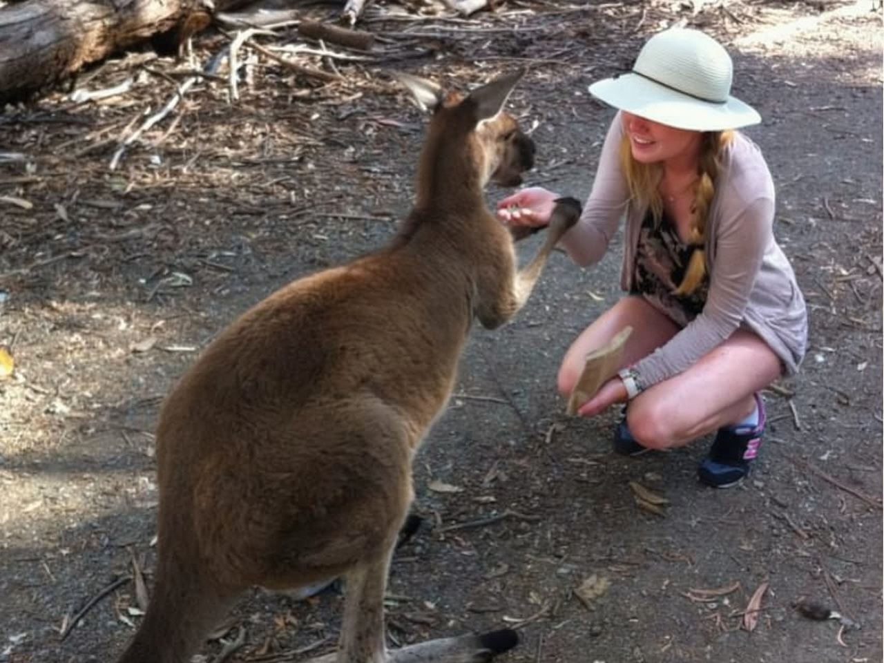 Adelaide: Barossa Day Out: Wines, Brewery, Chocolate & Lunch