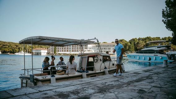 Пула: Экскурсия на лодке с дельфинами и романтический закат на Национальном острове Бриони