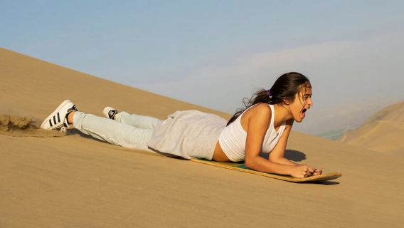 Lima: Excursión premium de un día a Paracas y Huacachina y brindis al atardecer