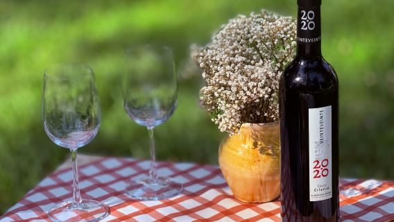 Picnic gourmet con tapas spagnole nel Parco del Retiro (privato)