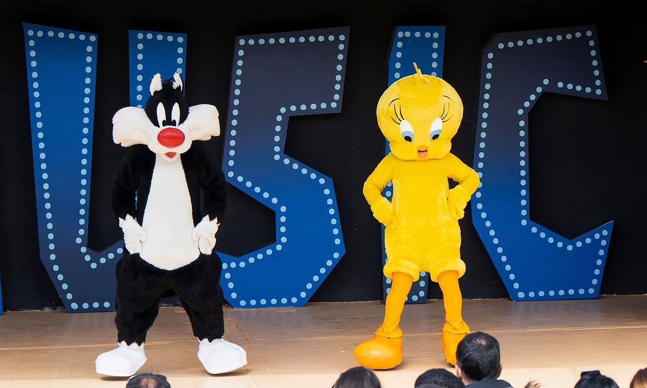 Madrid: Parque Warner Ticket and Roundtrip Transportation