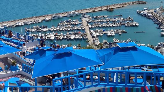 Tour privato di un giorno a Tunisi: Cartagine, Bardo e Sidi Bou Said