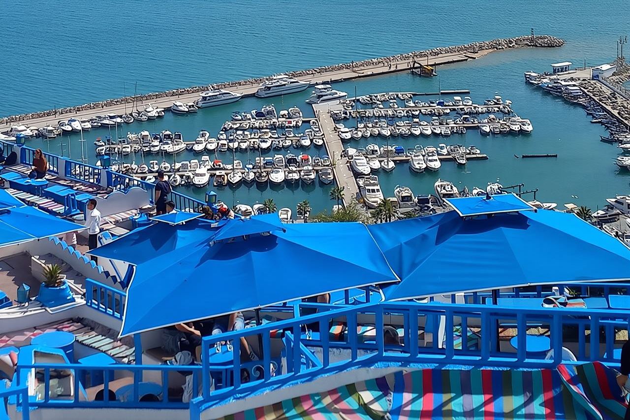 突尼斯精華私人一日遊：迦太基、巴爾多和西迪布賽義德