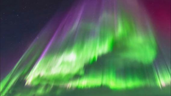 Excursión de un día a las aguas termales de Chena en Fairbanks, Alaska, EE. UU. [Aguas termales premium]