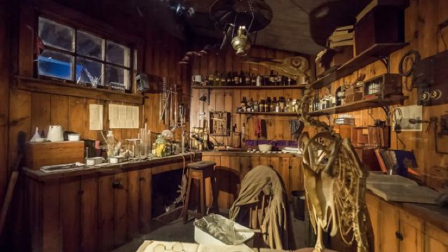 新西蘭北島包車1日 中文服務+上門接送 +行程可調