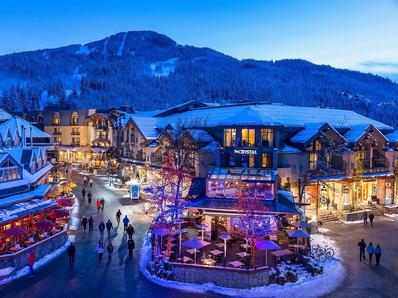 Pemberton Township + Parco provinciale di Shannon Falls + Whistler andata e ritorno