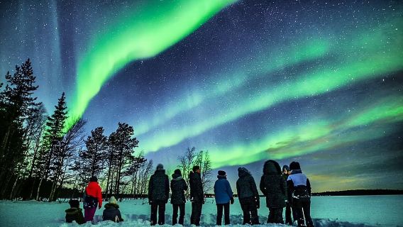 Finland Rovaniemi Tour alla ricerca dell'aurora boreale in Lapponia (opzione gruppo standard/gruppo piccolo di 8 persone)