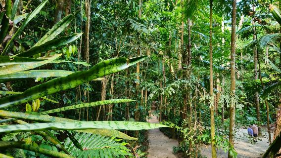 Cairns: Paronella, Lake Barrine & Millaa Millaa Falls Tour