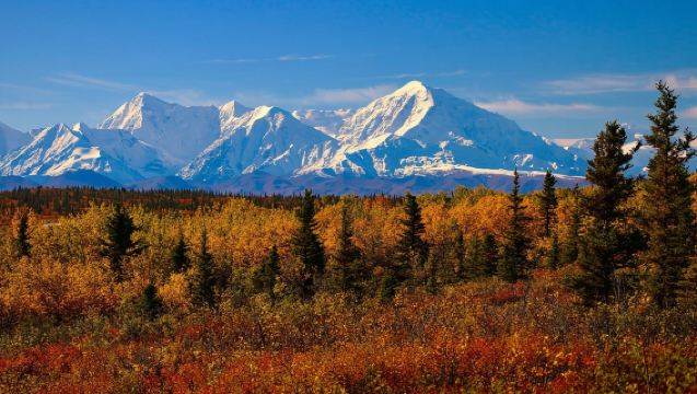 美國費爾班克斯-Santa Claus House-私人專享行程